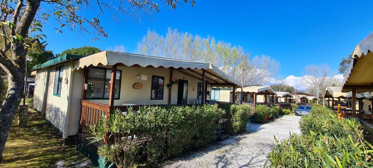 Chalet La Dolce Vita Βιαρέτζιο Εξωτερικό φωτογραφία